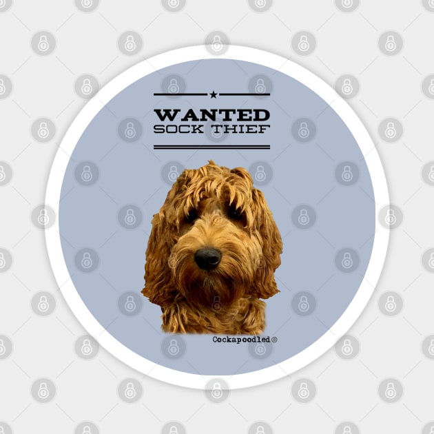 Cockapoo / Doodle Dog Sock Thief Magnet by WoofnDoodle 